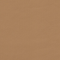 1241 - kaschmirbeige