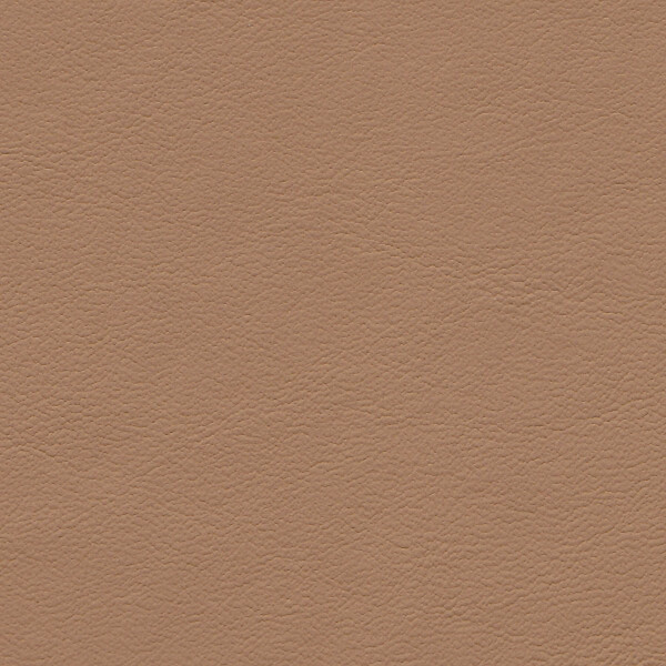 1233 - sandbeige