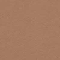 1233 - sandbeige