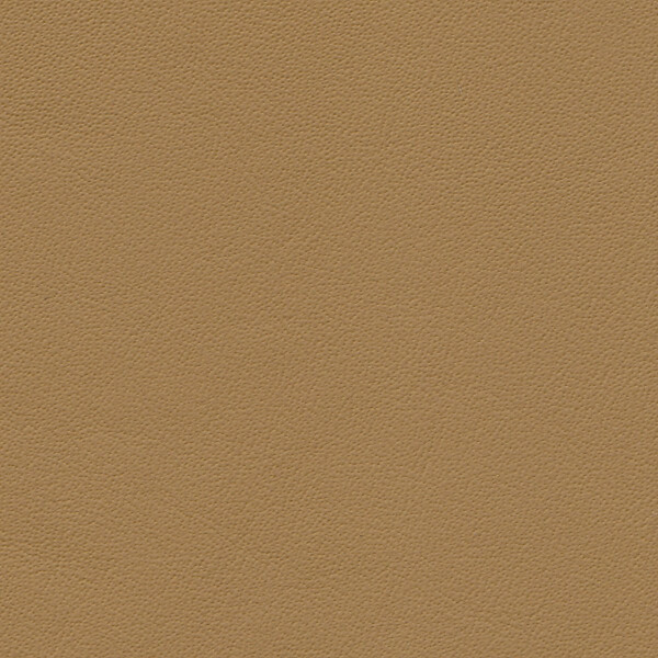 1227 - savannabeige