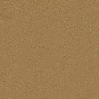 1227 - savannabeige