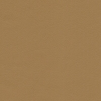 1227 - savannabeige