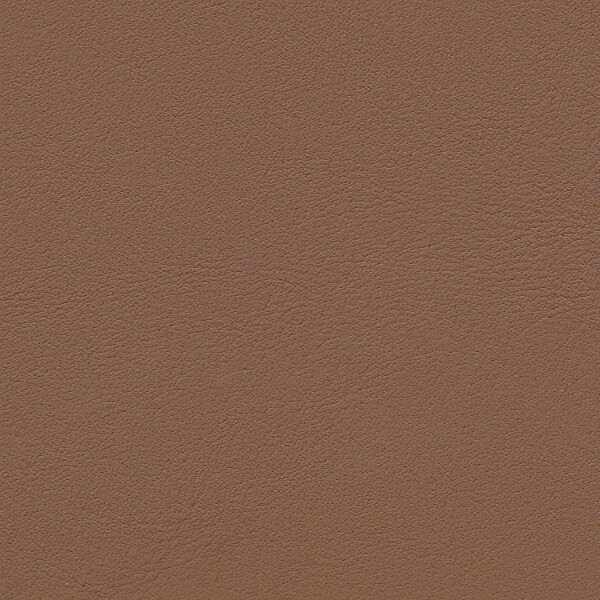 1237 - havanna