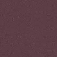 1211 - magenta