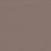 1252 - tartufo hell