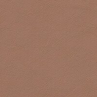 1250 - cognac natur