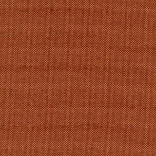 39 - apricot