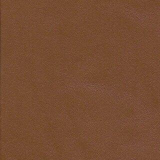 2699 - cognac hell