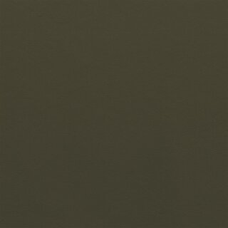 2121 - umbra