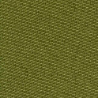 48 - kiwi