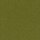 48 - kiwi