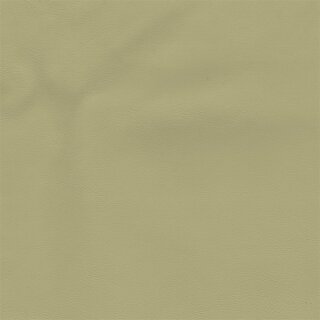 3488 - seidenbeige