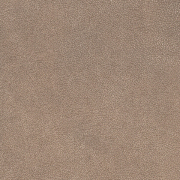 2453 - beige leigt