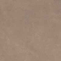 2453 - beige leigt