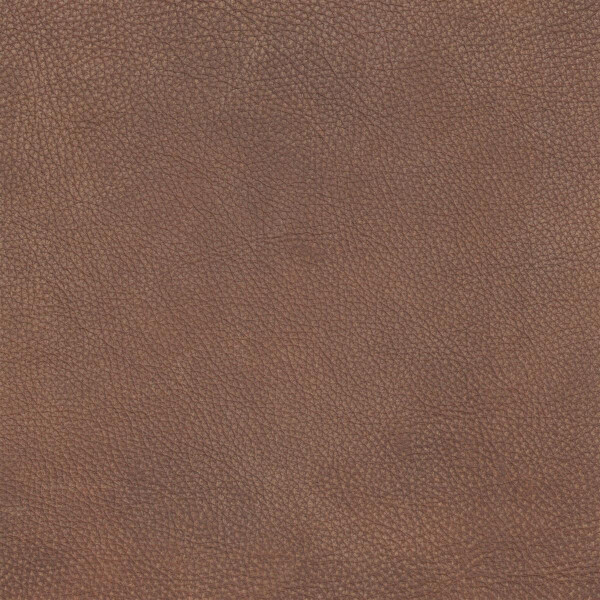 2538 - terra