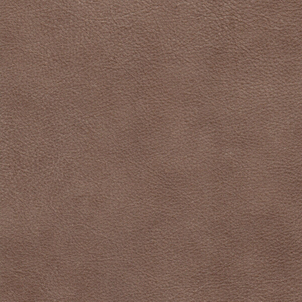 2249 - chestnut