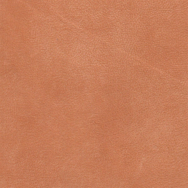 2810 - cognac