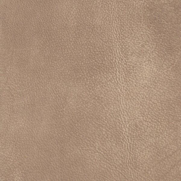2443 - beige