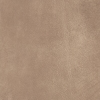 2443 - beige