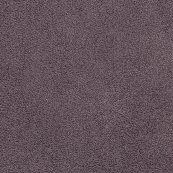 6100 - amnethyst