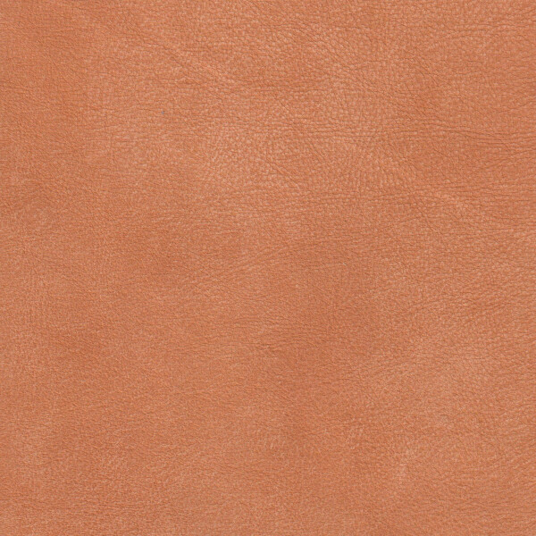 2810 - cognac