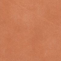 2810 - cognac