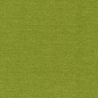 38 - lime