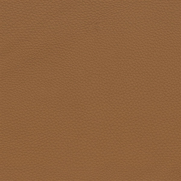 2613D - cognac