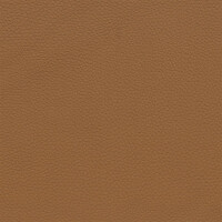 2613D - cognac
