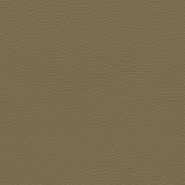 3088D - camel