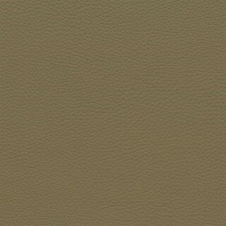 3088D - camel
