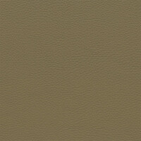 3088D - camel