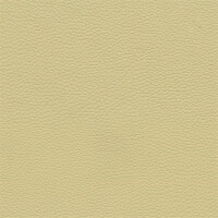 3499D - canberrabeige