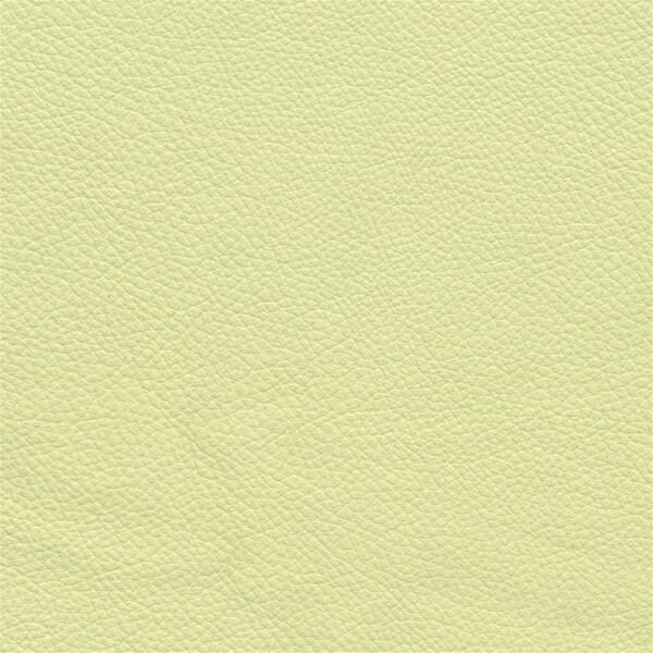 3722D - lemon