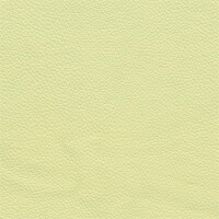 3722D - lemon