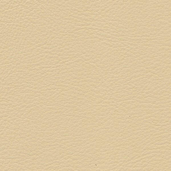 1356 - champagner