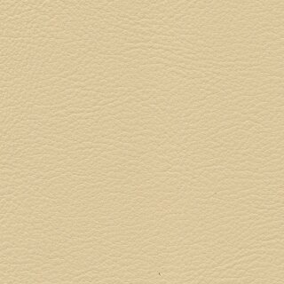 1356 - champagner
