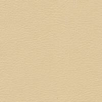 1356 - champagner