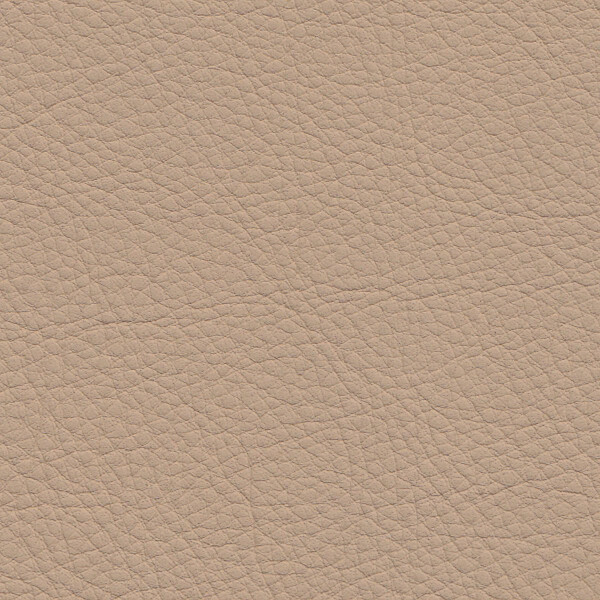 1384 - sandbeige/java