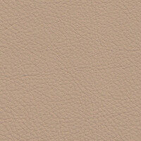 1384 - sandbeige/java