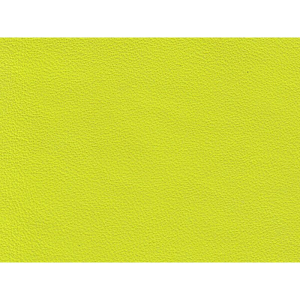 1258 - acidgreen