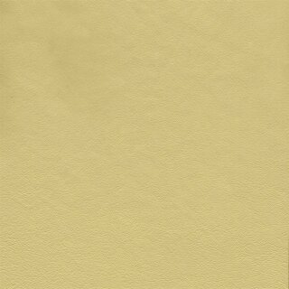 3438 - samtbeige