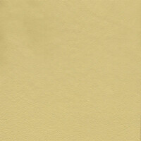 3438 - samtbeige