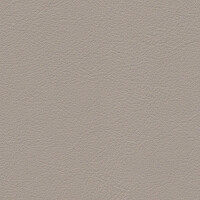 1663 - kardamombeige 2
