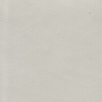 1198 - greige