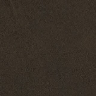 7248 - olivio
