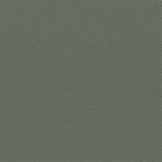 1418D - grau