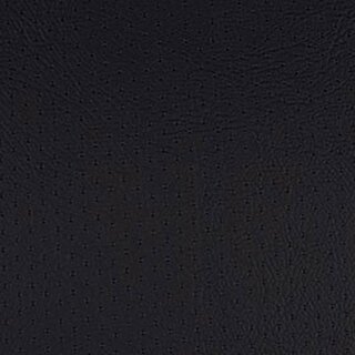 207 x 1456