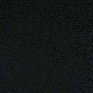 218 x 1981