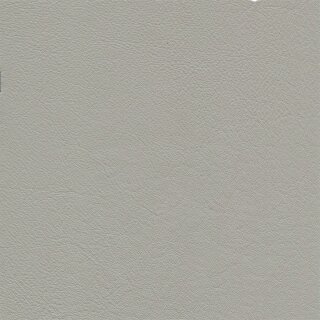 1555 - platinium
